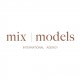 mix model