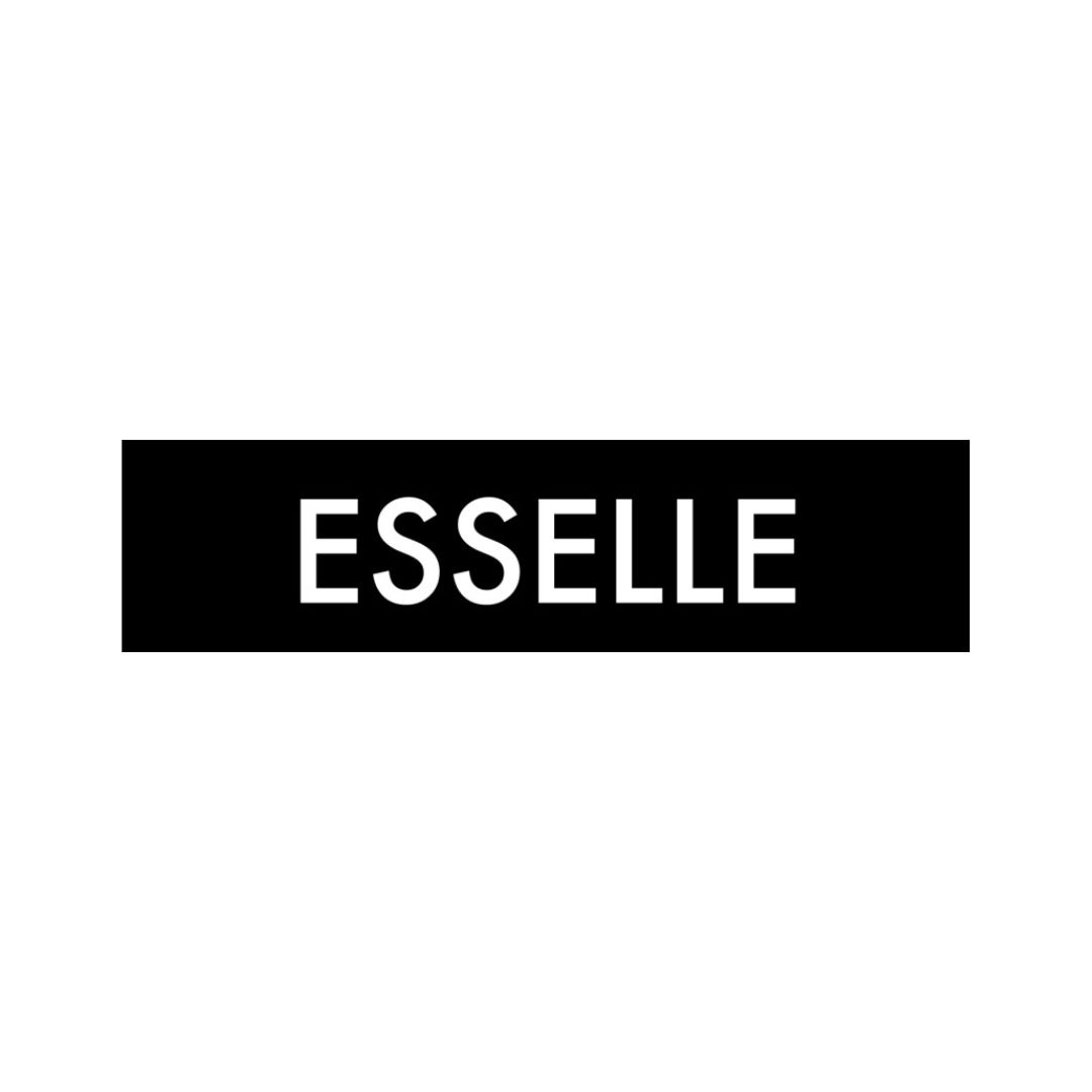 ESSELLE Agency Mediaslide esselle-agency-mediaslide