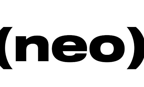NEO MGMT LOGO