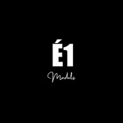 elever 1 logo