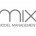 mix model mgmt logo